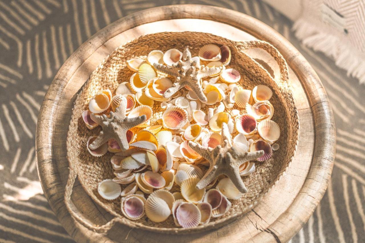 فيلا The Shell House بورنماوث المظهر الخارجي الصورة